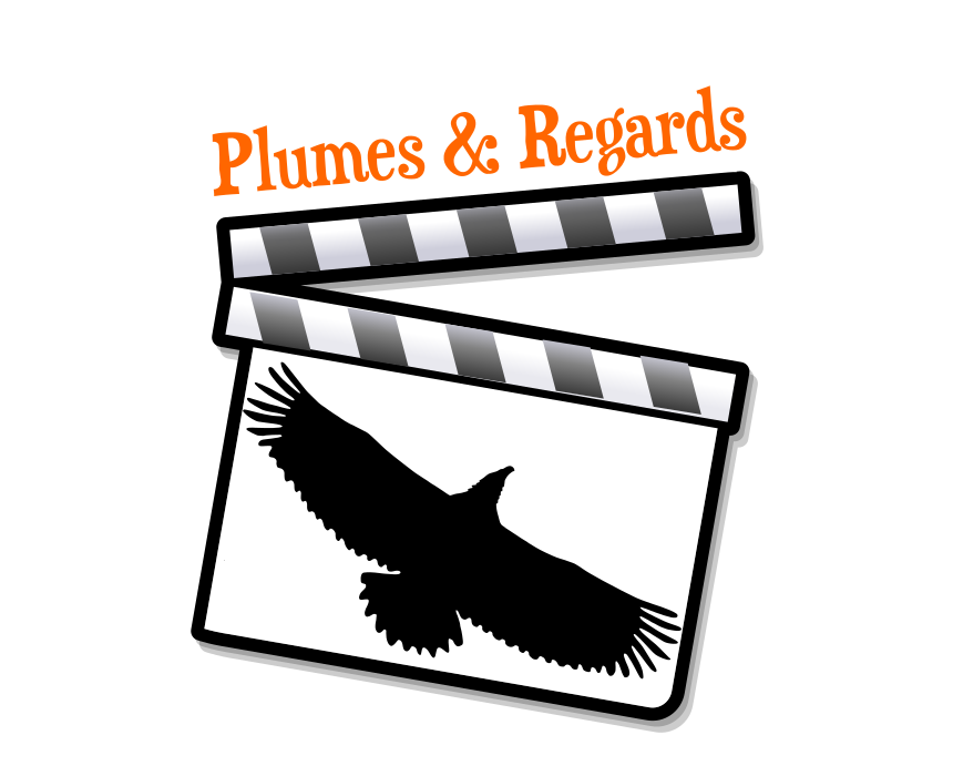 LogoPlumes